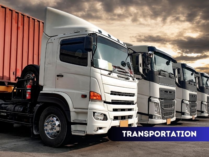 Home All India Transportation Navi Mumbai